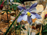 Hiking Miners Basin, Moab Utah - Image 9